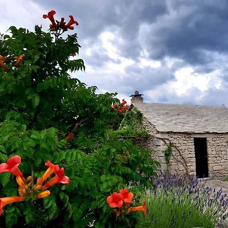 Country House Hacienda Selca  Dış mekan fotoğraf