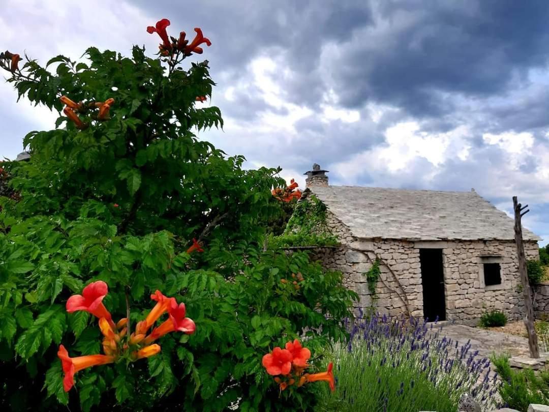 Country House Hacienda Selca  Dış mekan fotoğraf